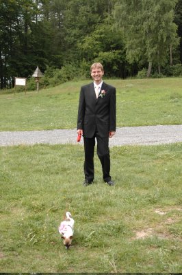 img011.jpeg.medium.jpeg
