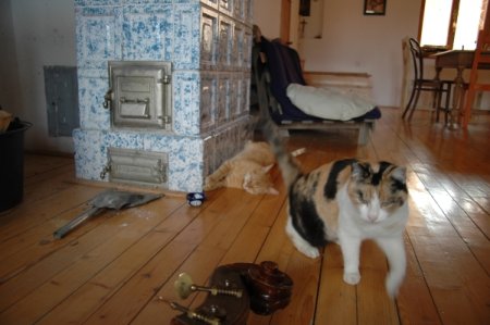 img041.jpeg.medium.jpeg