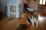 img041.jpeg.small.jpeg